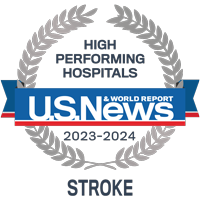 High Performing Hospitals U.S. News & World Report 2023-2024 Stroke