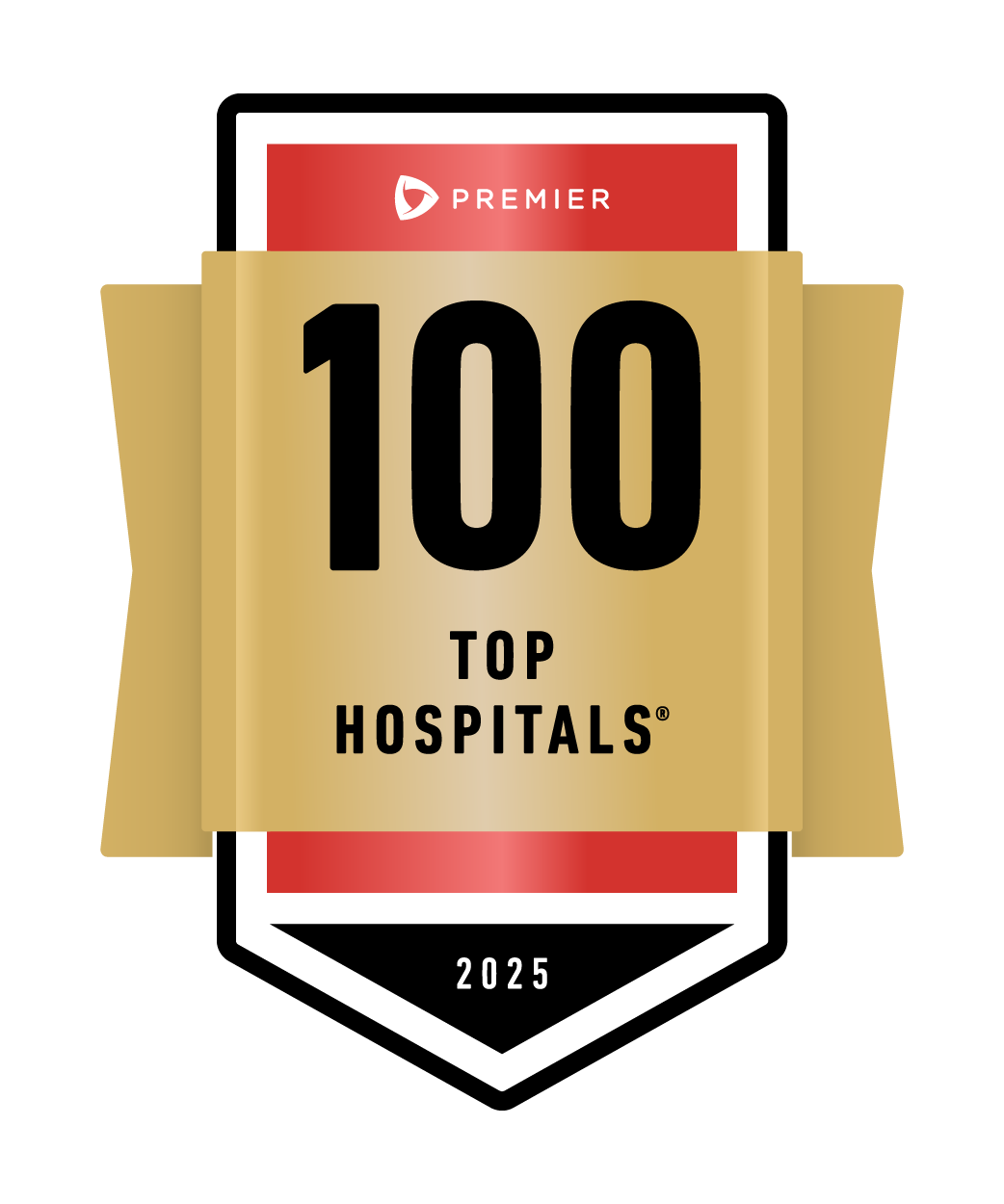 100 Top Hospital badge