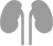 slh_kidney.png